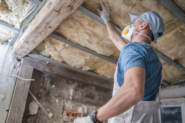 Best Specialized Insulation Services in Goshen, IN